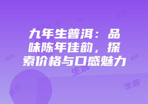 九年生普洱：品味陈年佳韵，探索价格与口感魅力