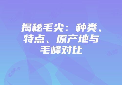 揭秘毛尖：种类、特点、原产地与毛峰对比