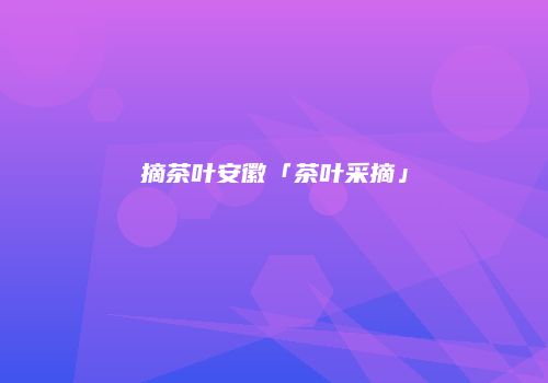 摘茶叶安徽「茶叶采摘」