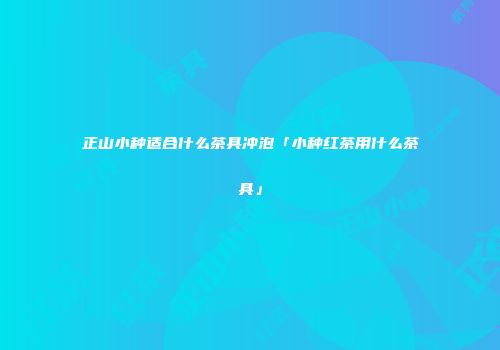 正山小种适合什么茶具冲泡「小种红茶用什么茶具」
