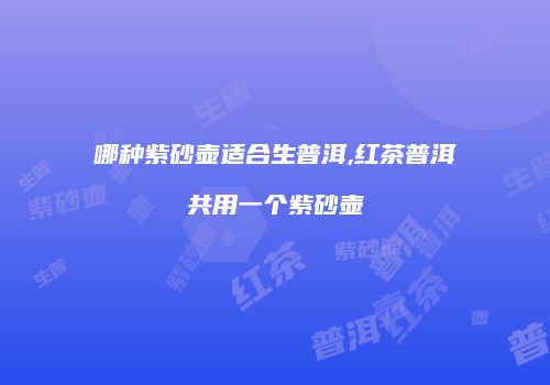 哪种紫砂壶适合生普洱,红茶普洱共用一个紫砂壶