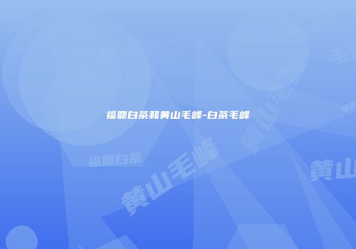 福鼎白茶和黄山毛峰-白茶毛峰