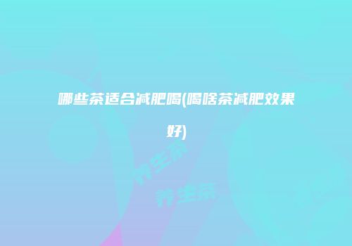 哪些茶适合减肥喝(喝啥茶减肥效果好)