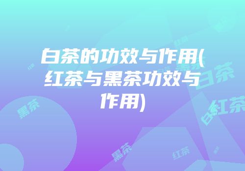 白茶的功效与作用(红茶与黑茶功效与作用)