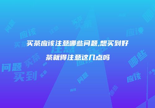 买茶应该注意哪些问题,想买到好茶就得注意这几点吗