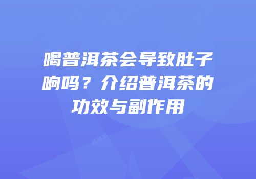 喝普洱茶会导致肚子响吗？介绍普洱茶的功效与副作用