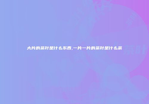 大片的茶叶是什么东西,一片一片的茶叶是什么茶