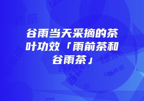 谷雨当天采摘的茶叶功效「雨前茶和谷雨茶」