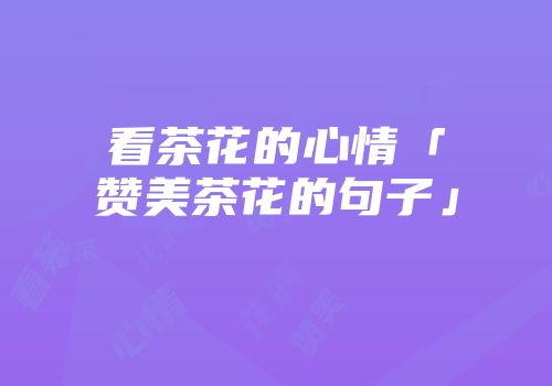 看茶花的心情「赞美茶花的句子」