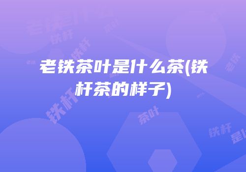 老铁茶叶是什么茶(铁杆茶的样子)