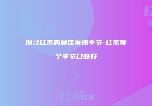 探寻红茶的最佳采摘季节-红茶哪个季节口感好