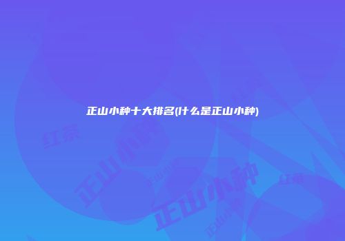 正山小种十大排名(什么是正山小种)