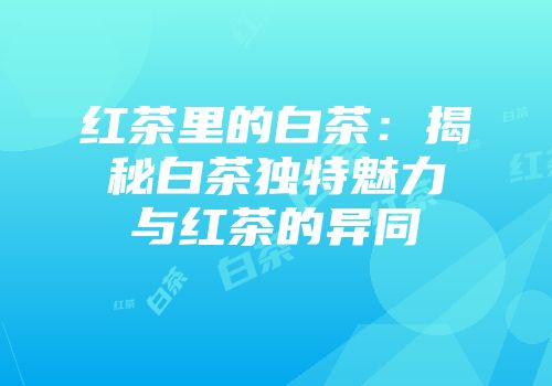红茶里的白茶：揭秘白茶独特魅力与红茶的异同