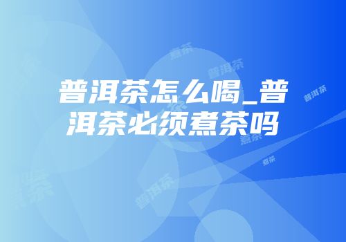 普洱茶怎么喝_普洱茶必须煮茶吗