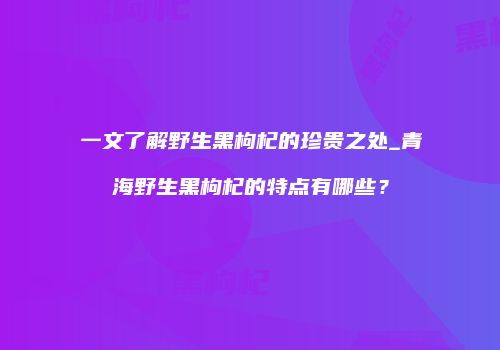 一文了解野生黑枸杞的珍贵之处_青海野生黑枸杞的特点有哪些？