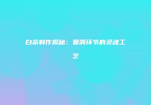 白茶制作揭秘：萎凋环节的灵魂工艺