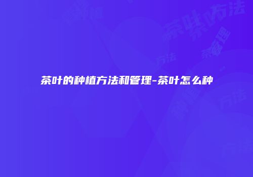 茶叶的种植方法和管理-茶叶怎么种