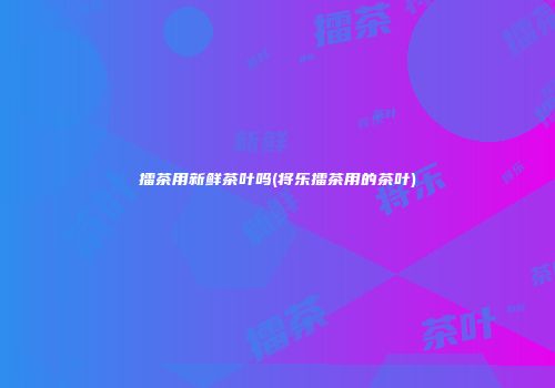 擂茶用新鲜茶叶吗(将乐擂茶用的茶叶)