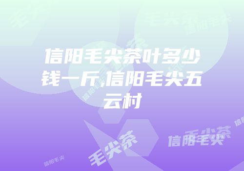信阳毛尖茶叶多少钱一斤,信阳毛尖五云村