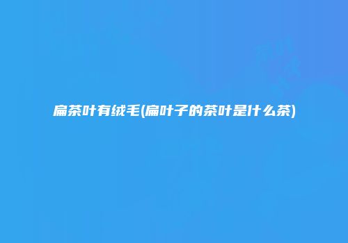 扁茶叶有绒毛(扁叶子的茶叶是什么茶)