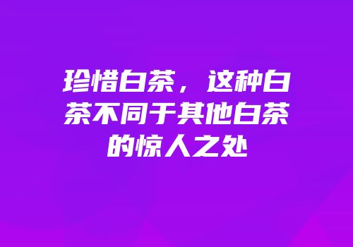 珍惜白茶，这种白茶不同于其他白茶的惊人之处