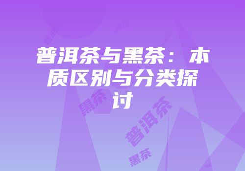 普洱茶与黑茶：本质区别与分类探讨