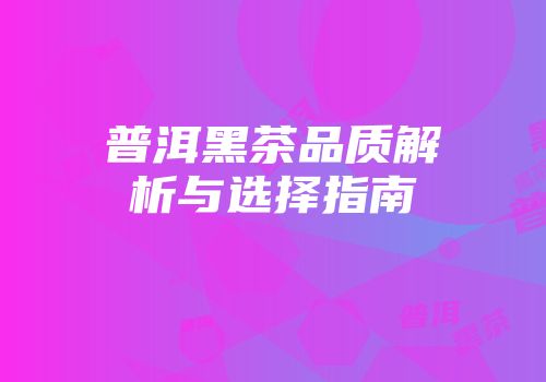 普洱黑茶品质解析与选择指南