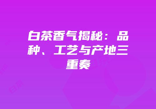 白茶香气揭秘：品种、工艺与产地三重奏