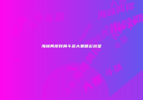 海峡两岸民间斗茶大赛精彩纷呈