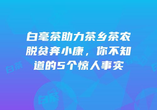 白毫茶助力茶乡茶农脱贫奔小康，你不知道的5个惊人事实