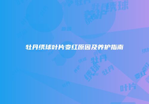 牡丹绣球叶片变红原因及养护指南