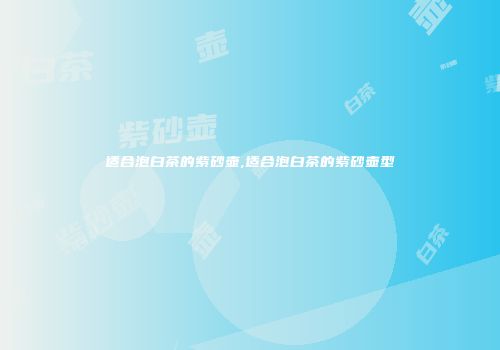 适合泡白茶的紫砂壶,适合泡白茶的紫砂壶型