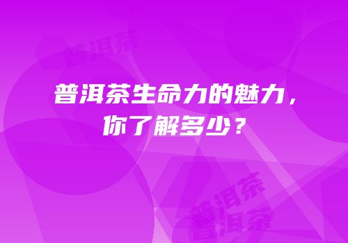 普洱茶生命力的魅力，你了解多少？