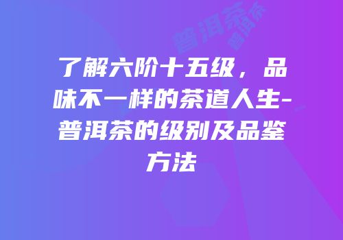 了解六阶十五级，品味不一样的茶道人生-普洱茶的级别及品鉴方法