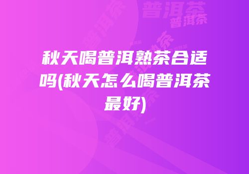 秋天喝普洱熟茶合适吗(秋天怎么喝普洱茶最好)