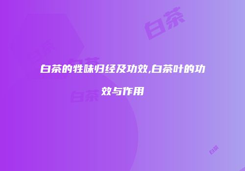 白茶的牲味归经及功效,白茶叶的功效与作用