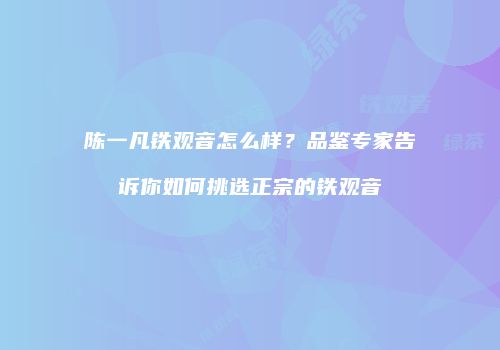 陈一凡铁观音怎么样？品鉴专家告诉你如何挑选正宗的铁观音