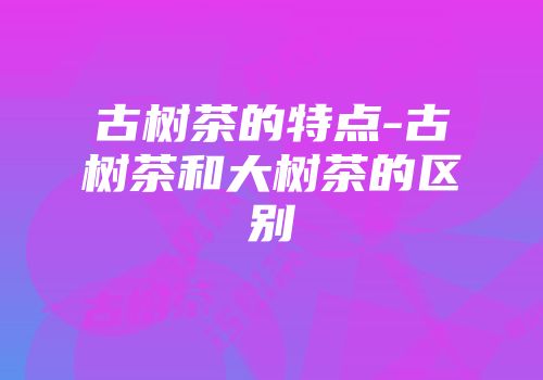 古树茶的特点-古树茶和大树茶的区别