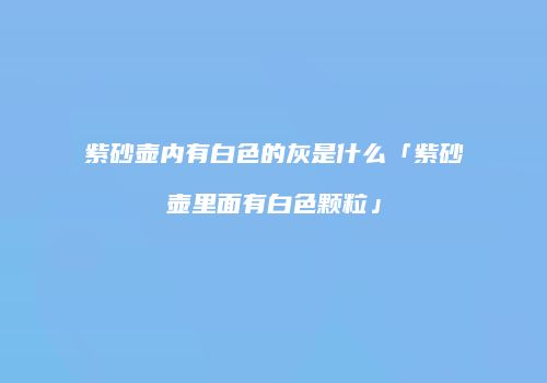 紫砂壶内有白色的灰是什么「紫砂壶里面有白色颗粒」