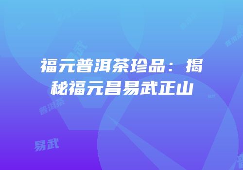 福元普洱茶珍品：揭秘福元昌易武正山