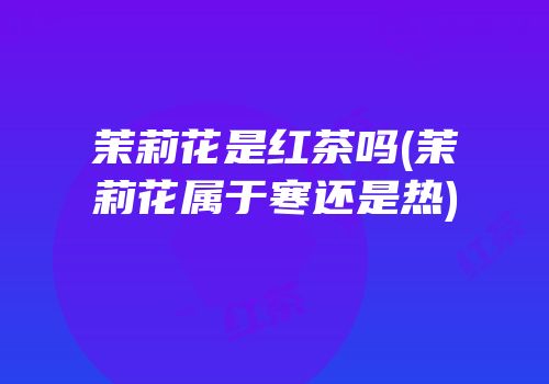 茉莉花是红茶吗(茉莉花属于寒还是热)