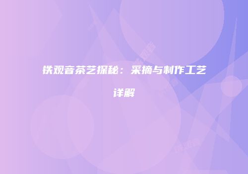 铁观音茶艺探秘：采摘与制作工艺详解