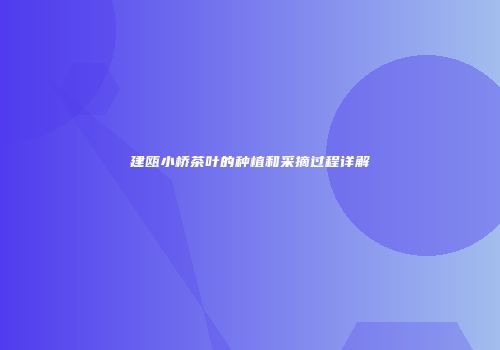 建瓯小桥茶叶的种植和采摘过程详解