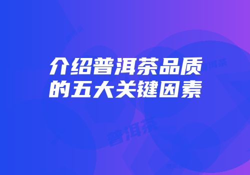 介绍普洱茶品质的五大关键因素