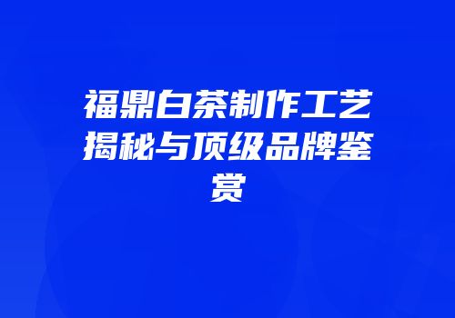 福鼎白茶制作工艺揭秘与顶级品牌鉴赏