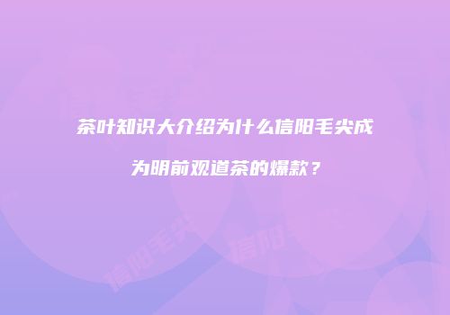 茶叶知识大介绍为什么信阳毛尖成为明前观道茶的爆款？