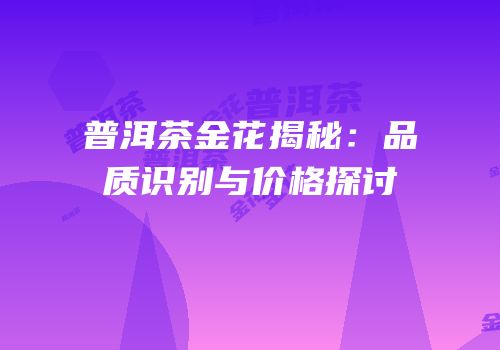普洱茶金花揭秘：品质识别与价格探讨
