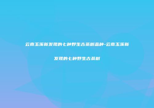 云南玉溪新发现的七种野生古茶树品种-云南玉溪新发现的七种野生古茶树