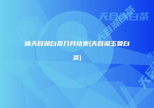 摘天目湖白茶几月结束(天目湖玉鼎白茶)