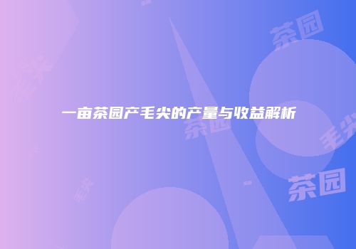 一亩茶园产毛尖的产量与收益解析